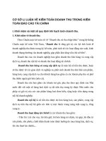 CƠ SỞ Lí LUẬN VỀ KIỂM TOÁN DOANH THU TRONG KIỂM TOÁN BÁO CÁO TÀI CHÍNH