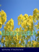 Tài liệu LT&C: Câu kể-Ai thế nào?