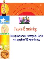 Đánh giá vai trò của thương hiệu đối với các sản phẩm việt nam hiện nay 