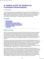 DIY CO2 System for Planted Aquarium