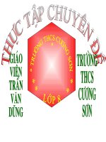 Tài liệu Chia đa thức một biến