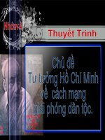 Bài soạn tư tưởng hồ chí mnh về cách mạng giải phóng dân tộc