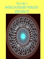 Gián án những chuyển biến trong đời sống kinh tế