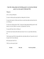 Cấp Giấy chứng nhận cho Hệ thống quản lý an toàn theo Bộ luật quản lý an toàn quốc tế (Bộ luật ISM)