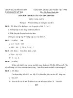 Gián án DE HKI (2010-2011)