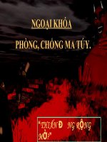 Ngoai khoa ve  ma tuy.ppt