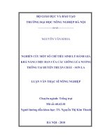 Luận văn nghiên cứu một số chỉ tiêu sinh lý đánh giá khả năng chịu hạn của các giống lúa nương trồng tại huyện thuận châu   sơn la 