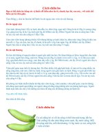 Tài liệu CÁCH CHỮA HO