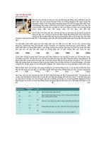 CỨU DỮ LIỆU BỊ MẤT