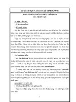 sang kien kinh nghiem giai toan gia thiet tam