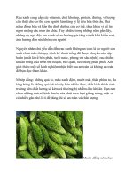 Nhận biết rau độcx