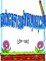 HỒI TRỐNG CỔ THÀNH