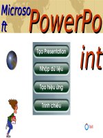 PowerPoint Show