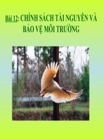 Bài 12: Chính sách tài nguyên và bảo vệ môi trường