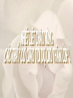 Bài 29: Bảo vệ và khoang nuôi rừng