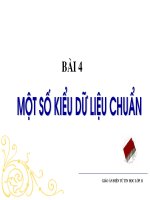 Một số kiểu dữ liệu chuẩn