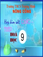 Hợp kim sắt