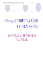 virut và sự nhân lên của virut.