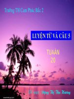 Luyện từ câu 5