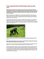 vuon nguoi tien hoa nhu the nao