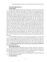 SKKN  Tiếng Việt