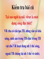 BAI 44 SINH HỌC 10NC