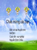 Nguyen Đình Chiểu
