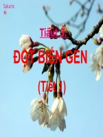 Đột biến gen