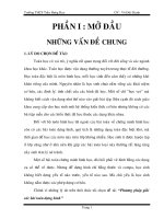 SKKN Dựng hình bằng thước và Compa