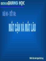 Mắt cân mắt lão