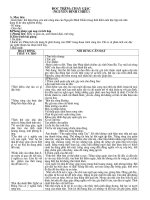 Chạy giặc - Nguyễn Đình Chiểu