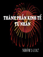 Kinh tế tư nhân