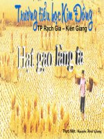 Hạt Gạo Làng Ta