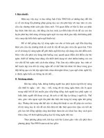 Sáng kiến kinh nghiệm