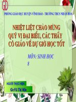 Sinh 8 - Mắt