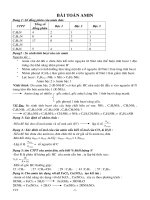 pp giai bai toan amin