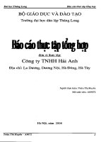 báo cáo thực tập tổng hợp tại công tại công ty TNHH hải anh