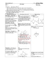 GIAO AN HINH 8 (hay- chi tiet),N