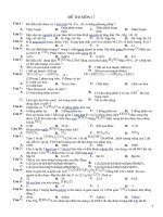 Đề ôn tập số 17