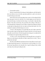 Tổ chức Kế toán tiền lương và các khoản trích trích theo lương tại Công ty Cổ phầnTPS Tri – Vision