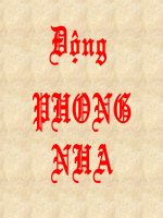 Động Phong Nha