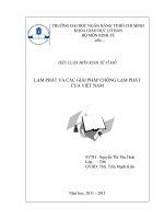 LẠM PHÁT VÀ CÁC GIẢI PHÁP CHỒNG LẠM PHÁT CỦA VIỆT NAM