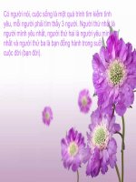 chỉ để giải trí