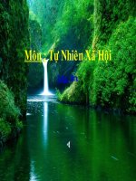 Cơ quan thần kinh