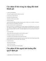 Các nhân tố bên trong tác động đến hình thành giá