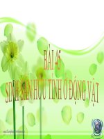 sinh sản hữu  tính ở động vật