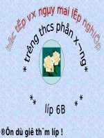 Tiết 119: Câu trần thuật đơn không có từ là