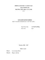 SKKN lớp 2