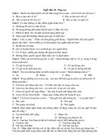 Trắc nghiệm Văn (Nâng cao 10)