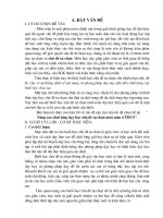 skkn day hoc mon tu chon